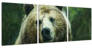 Obraz medveďa (s hodinami) (90x30 cm)