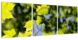 Obraz - javorové listy (s hodinami) (90x30 cm)