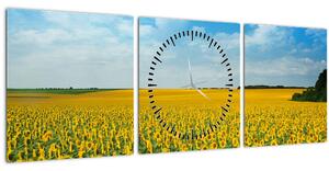 Obraz - pás slnečníc (s hodinami) (90x30 cm)