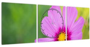 Obraz - lúčna kvetina (s hodinami) (90x30 cm)