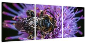 Obraz včely na kvetine (s hodinami) (90x30 cm)