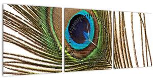 Obraz pávieho peria (s hodinami) (90x30 cm)