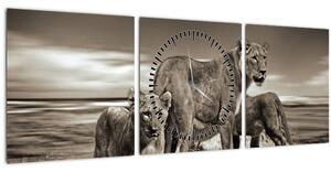 Obraz čiernobielych levov (s hodinami) (90x30 cm)