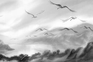 Obraz prelet vtákov ponad krajinku v čiernobielom prevedení