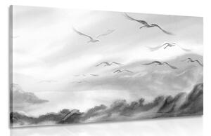 Obraz prelet vtákov ponad krajinku v čiernobielom prevedení