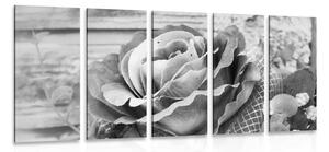 5-dielny obraz elegantná vintage ruža v čiernobielom prevedení