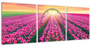 Obraz poľa tulipánov so slnkom (s hodinami) (90x30 cm)