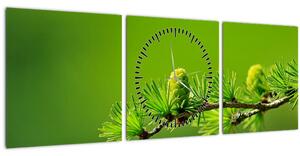 Obraz zelenej šišky (s hodinami) (90x30 cm)