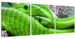 Obraz zelených hadov (s hodinami) (90x30 cm)