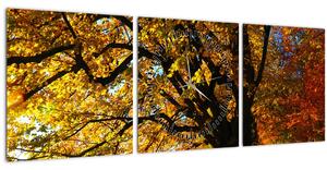 Obraz jesenného stromu (s hodinami) (90x30 cm)