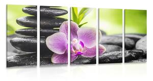 5-dielny obraz tropická Zen kompozícia
