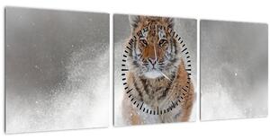 Obraz bežiaceho tigra v snehu (s hodinami) (90x30 cm)
