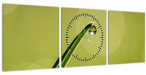 Obraz kvapky vody na tráve (s hodinami) (90x30 cm)