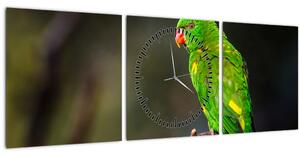 Obraz papagája na vetve (s hodinami) (90x30 cm)