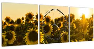 Obraz slnečnicového poľa (s hodinami) (90x30 cm)