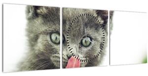 Obraz oblizujícího sa mačiatka (s hodinami) (90x30 cm)