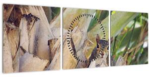 Obraz veveričky na strome (s hodinami) (90x30 cm)