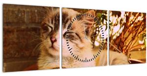 Obraz mačky v kvetináči (s hodinami) (90x30 cm)