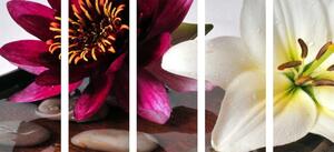 5-dielny obraz kvety v miske so Zen kameňmi