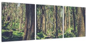 Obraz cesty medzi stromami (s hodinami) (90x30 cm)