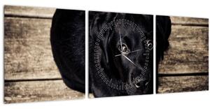 Obraz čierneho šteňaťa (s hodinami) (90x30 cm)