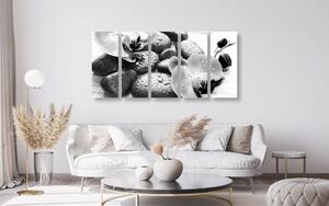 5-dielny obraz krásna súhra kameňov a orchidey v čiernobielom prevedení