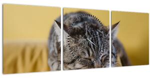 Obraz mačky na pohovke (s hodinami) (90x30 cm)