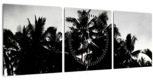 Obraz čiernobiely - palmy (s hodinami) (90x30 cm)