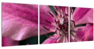 Obraz ružového kvetu plamienku (s hodinami) (90x30 cm)
