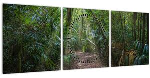 Obraz - Slnečné lúče v džungli (s hodinami) (90x30 cm)