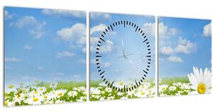 Obraz rozkvitnutej lúky s margarétkami (s hodinami) (90x30 cm)