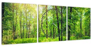 Obraz - Jarný listnatý les (s hodinami) (90x30 cm)