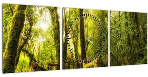 Obraz machové džungle (s hodinami) (90x30 cm)