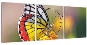 Obraz motýľa na kvete (s hodinami) (90x30 cm)