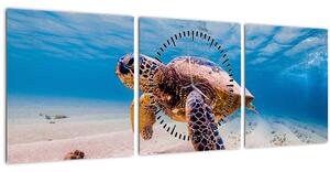 Obraz korytnačky v oceáne (s hodinami) (90x30 cm)