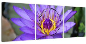 Obraz - Fialová kvetina (s hodinami) (90x30 cm)