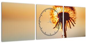 Obraz Púpavy v západe slnka (s hodinami) (90x30 cm)