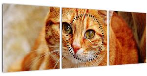 Obraz ležiace mačky (s hodinami) (90x30 cm)