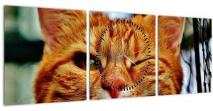 Obraz žmurkajúce mačky (s hodinami) (90x30 cm)