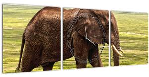 Obraz slona (s hodinami) (90x30 cm)