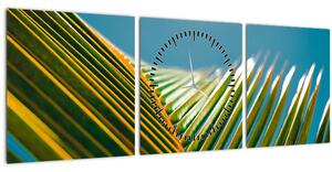 Obraz - Detail palmového listu (s hodinami) (90x30 cm)