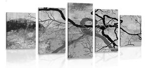 5-dielny obraz surrealistické stromy v čiernobielom prevedení
