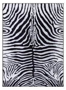 Koberec MIRO 51331.803 Zebra, čierno-biely