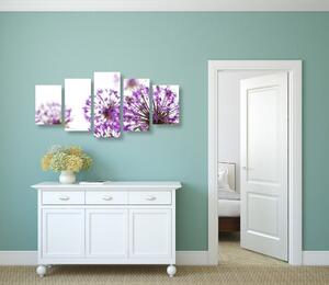 5-dielny obraz kvitnúce fialové kvety cesnaku