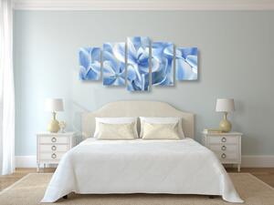 5-dielny obraz modro-biele kvety hortenzie