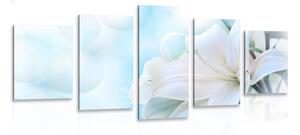 5-dielny obraz biely kvet ľalie na abstraktnom pozadí