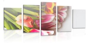 5-dielny obraz kytica farebných tulipánov