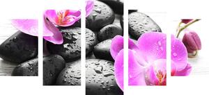 5-dielny obraz krásna súhra kameňov a orchidey
