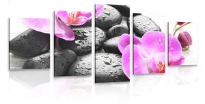 5-dielny obraz krásna súhra kameňov a orchidey