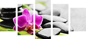 5-dielny obraz wellness zátišie s fialovou orchideou